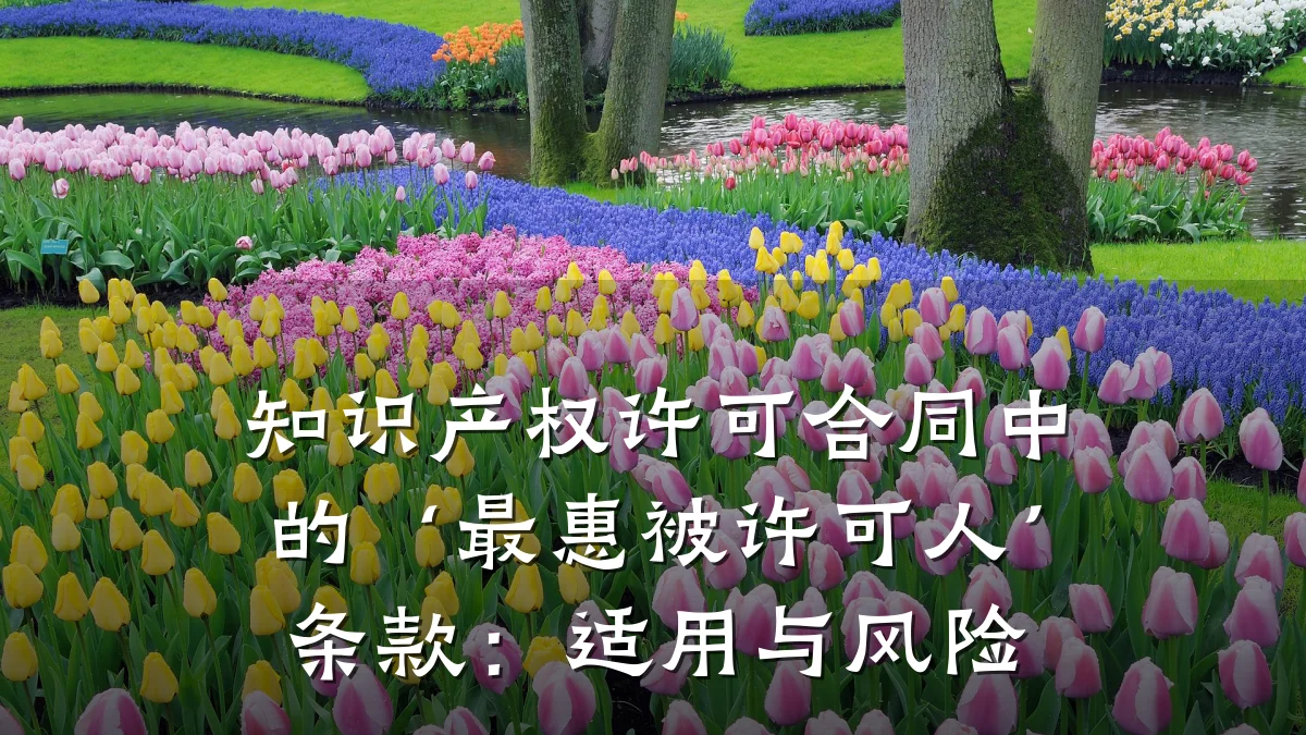 知识产权许可合同中的‘最惠被许可人’条款:适用与风险