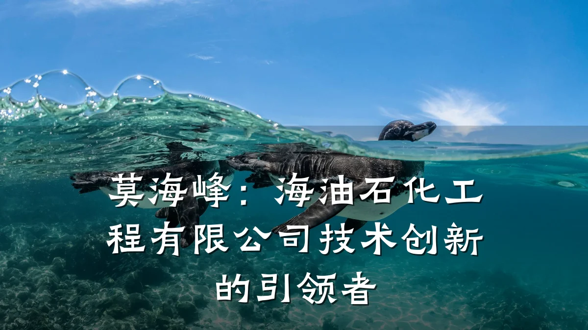 莫海峰:海油石化工程有限公司技术创新的引领者