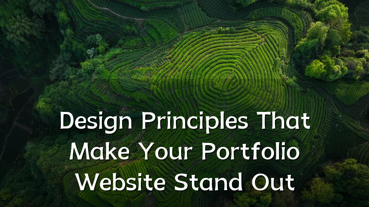 Design Principles That Make Your Portfolio Website Stand Out