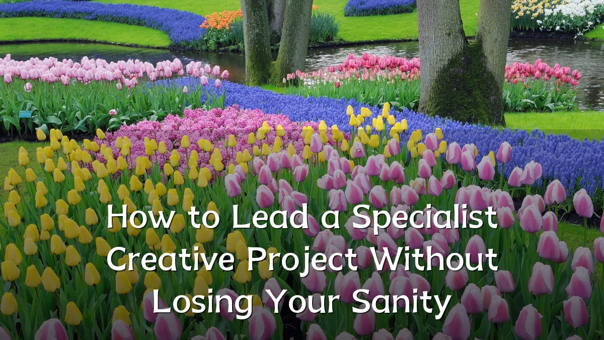 How to Lead a Specialist Creative Project Without Losing Your Sanity