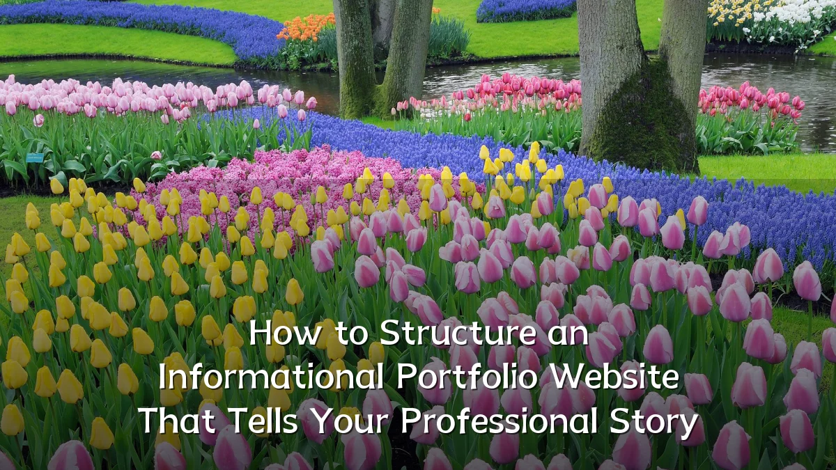 How to Structure an Informational Portfolio Website That Tells Your Professional Story