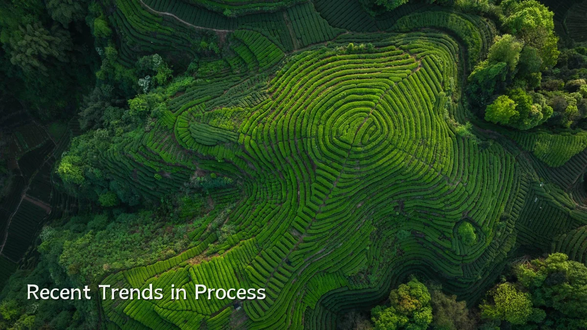 Recent Trends in Process