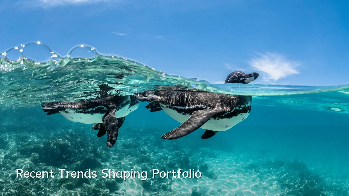 Recent Trends Shaping Portfolio
