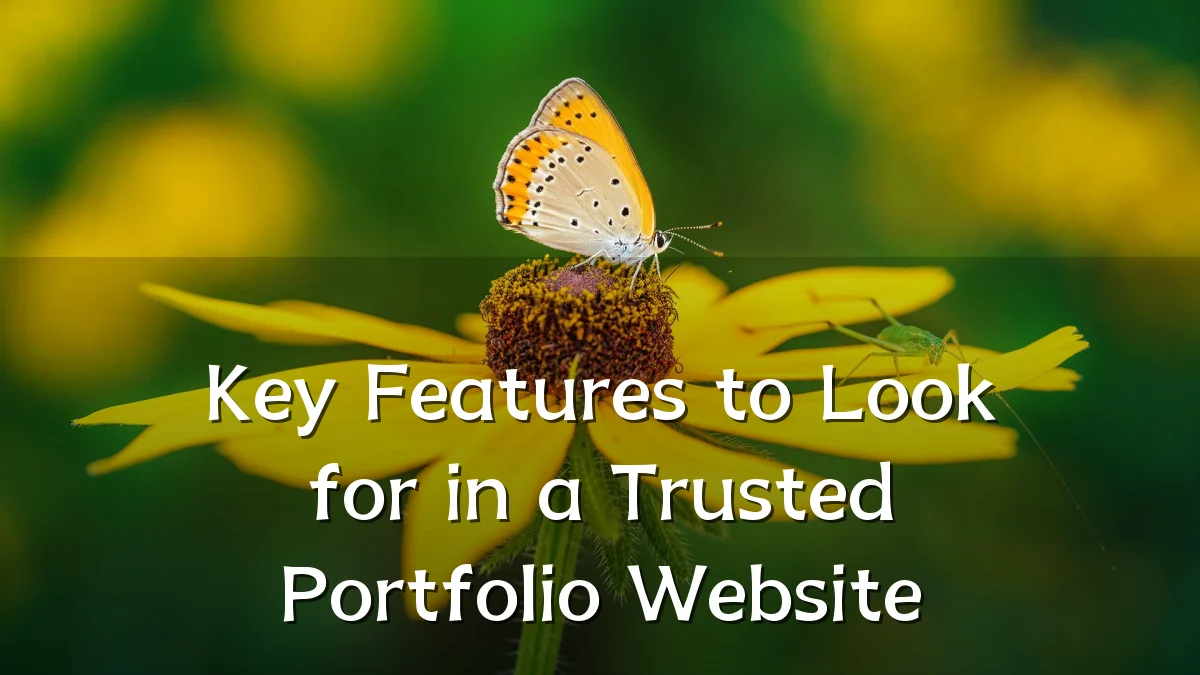 Key Features to Look for in a Trusted Portfolio Website