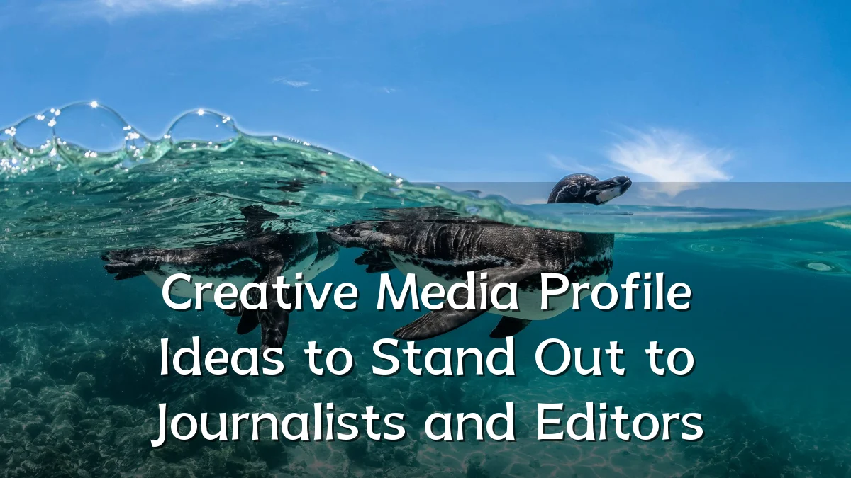 Creative Media Profile Ideas to Stand Out to Journalists and Editors
