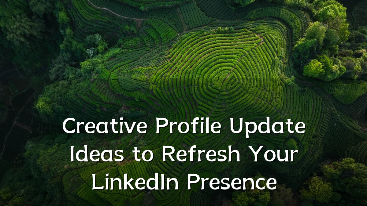 Creative Profile Update Ideas to Refresh Your LinkedIn Presence