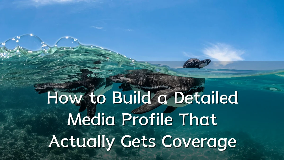 How to Build a Detailed Media Profile That Actually Gets Coverage