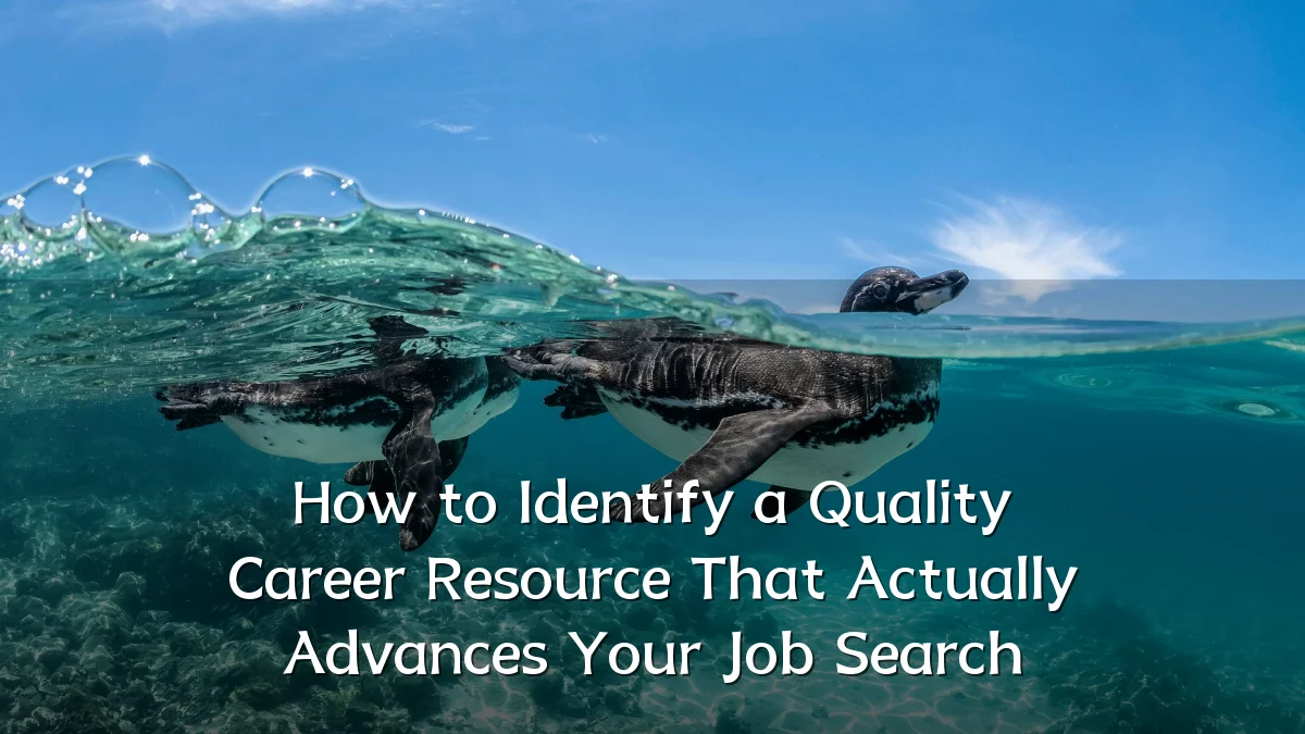How to Identify a Quality Career Resource That Actually Advances Your Job Search