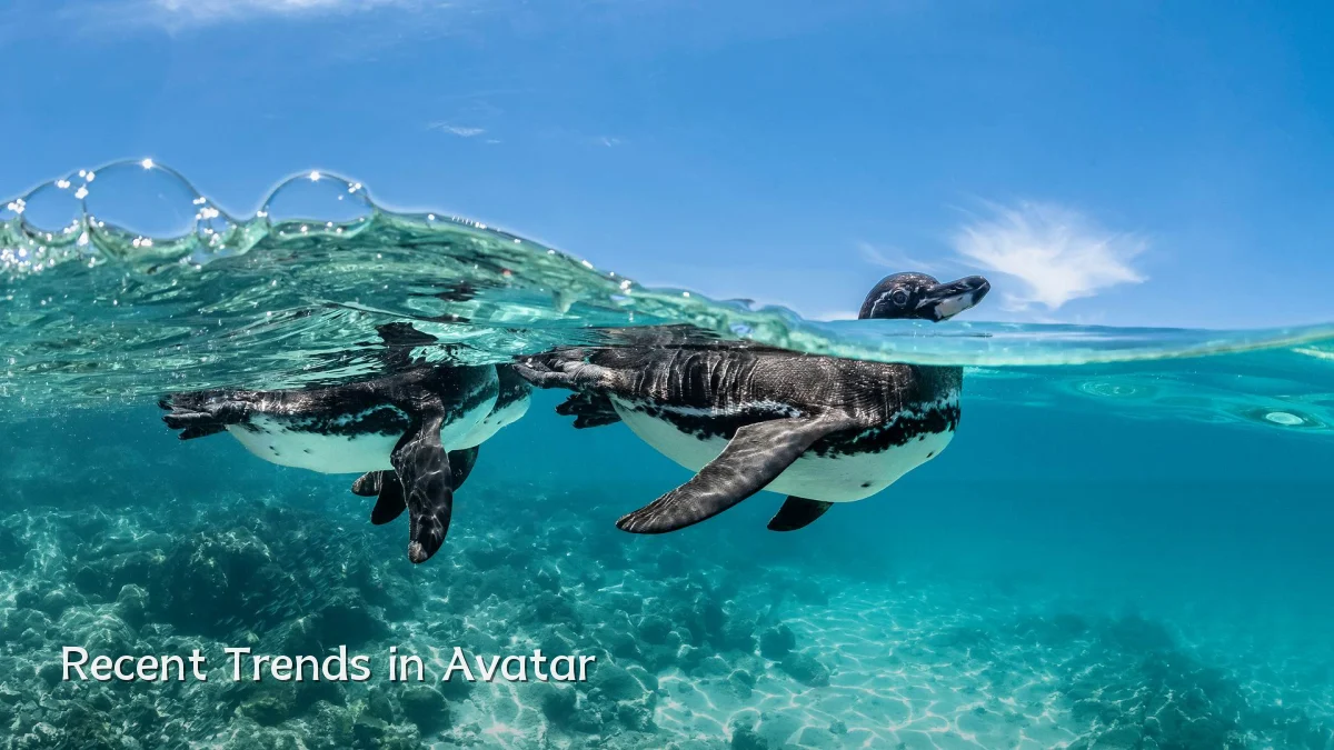 Recent Trends in Avatar