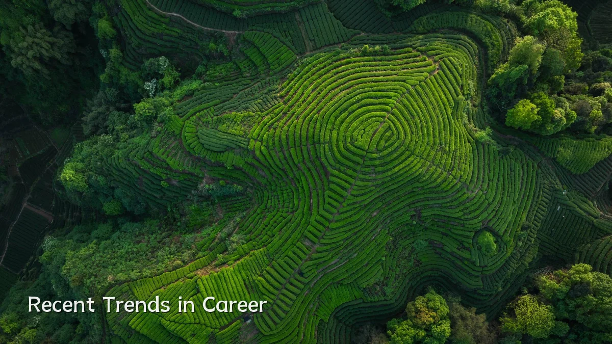Recent Trends in Career