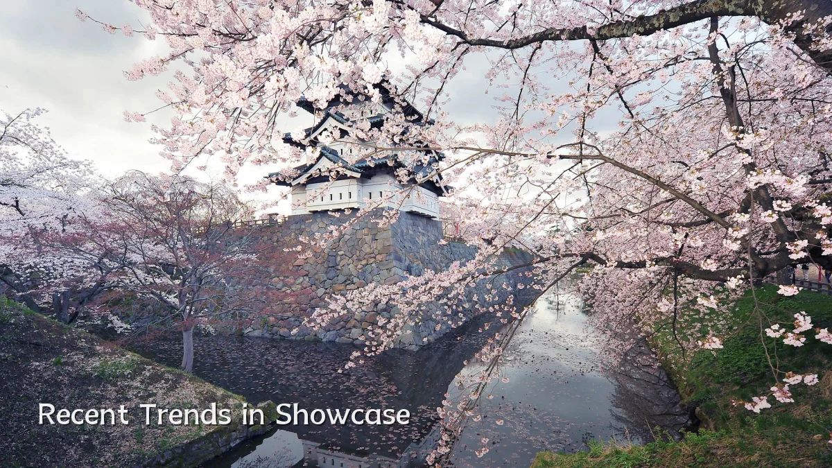 Recent Trends in Showcase