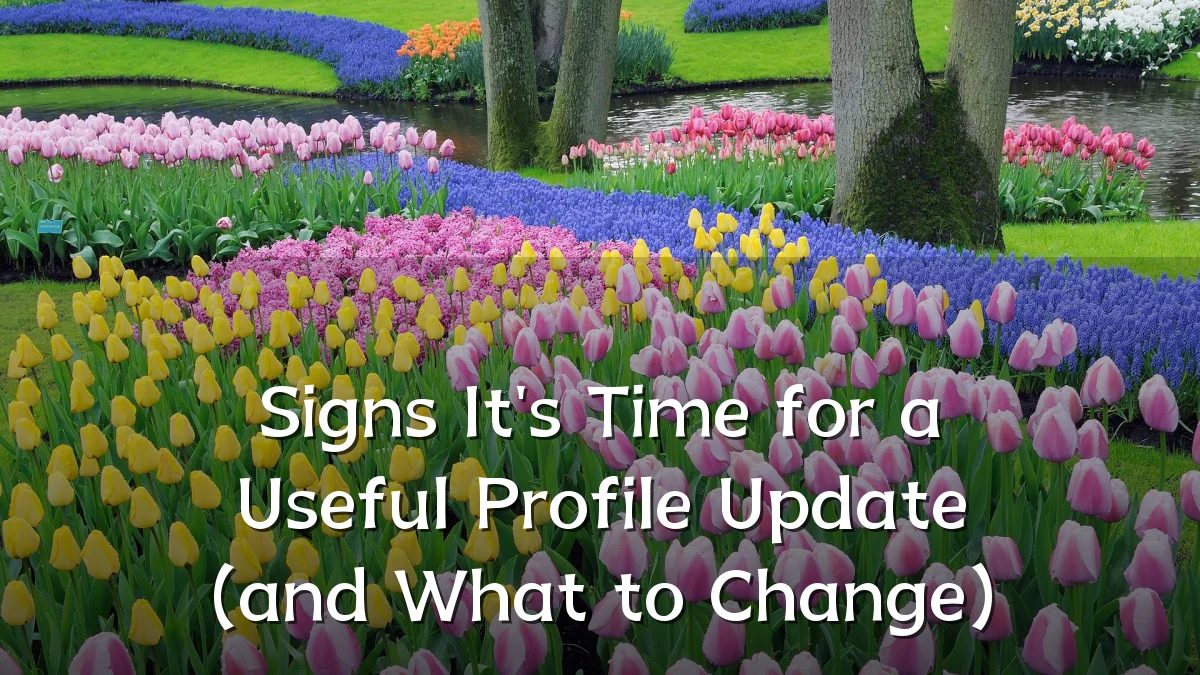 Signs It's Time for a Useful Profile Update (and What to Change)
