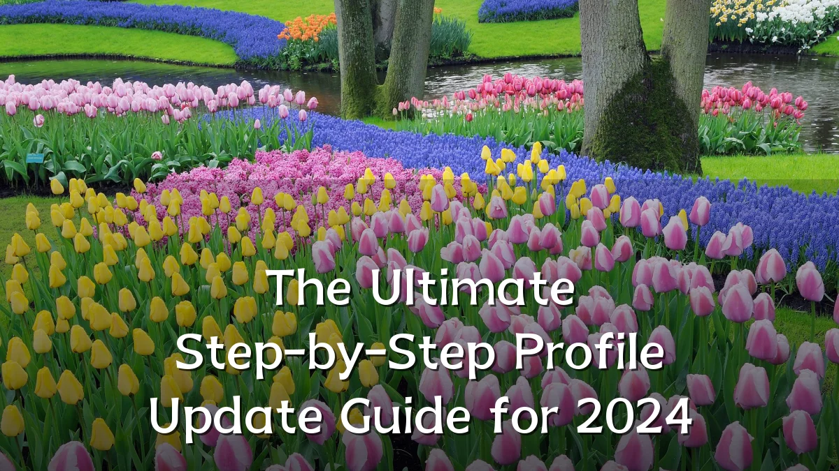 The Ultimate Step-by-Step Profile Update Guide for 2024