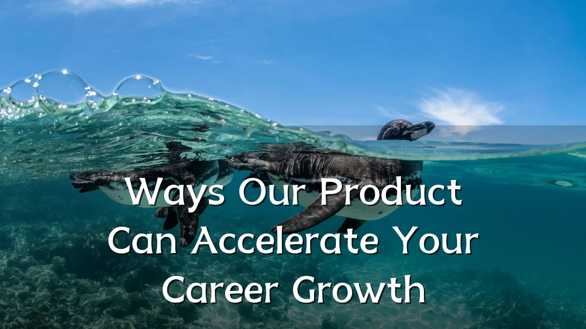 Ways Our Product Can Accelerate Your Career Growth