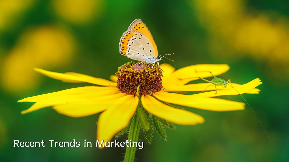 Recent Trends in Marketing